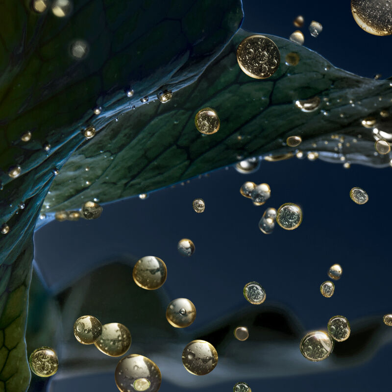 le soin noir ingredients