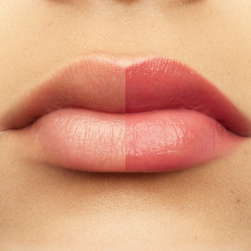 rose perfecto  results