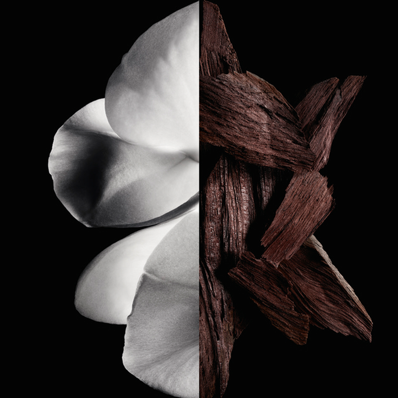 gentleman réserve privée