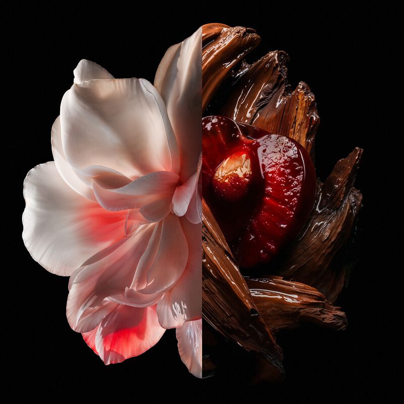 Olfactory Notes