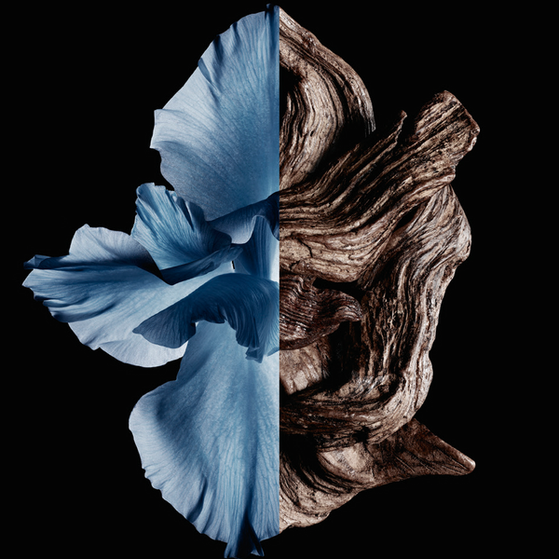 gentleman givenchy intense