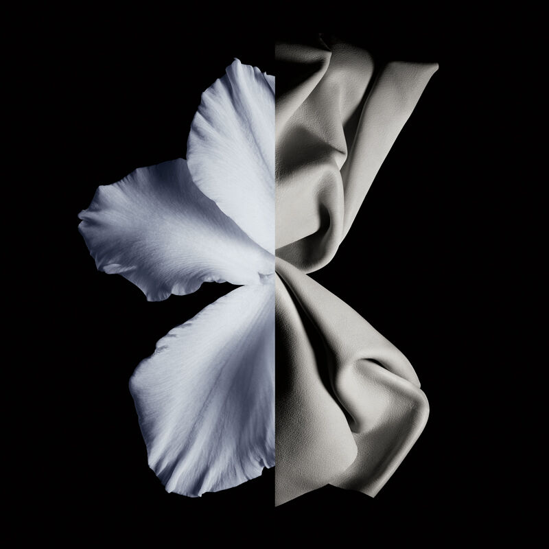 绅士淡香水 - n2