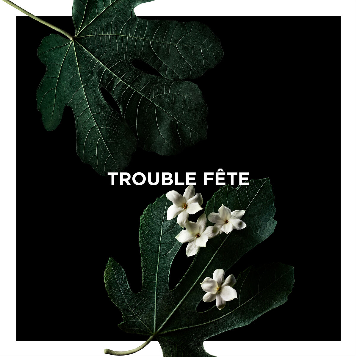 Trouble-Fête 狂放旋律