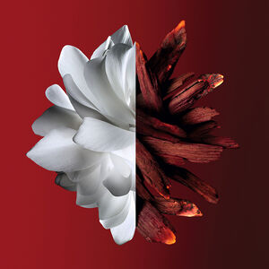 View 3 - 心无禁忌 - A carnal flower inflamed with a spicy rouge accord. GIVENCHY - 80 ML - P069262