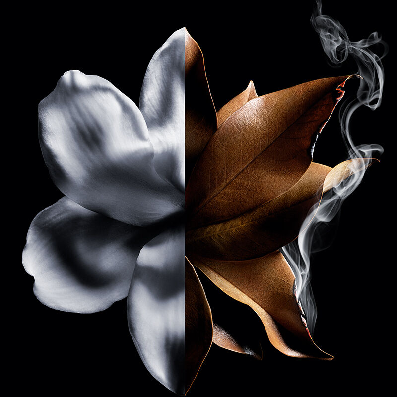 L'Interdit Absolu : Unisex Perfume | Givenchy Beauty