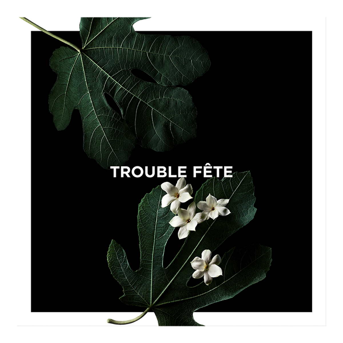 Trouble-Fête狂放旋律