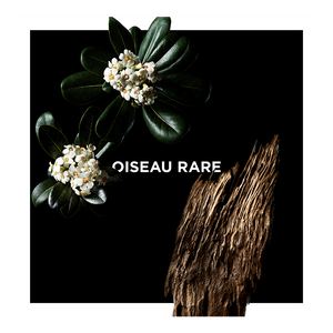 View 3 - Oiseau Rare 华丽羽翼 - 香氛 GIVENCHY - 100 ML - P031228