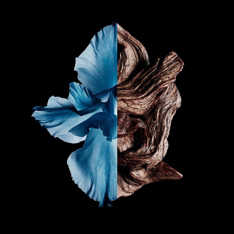 纪梵希绅士魅力淡香水 - n2