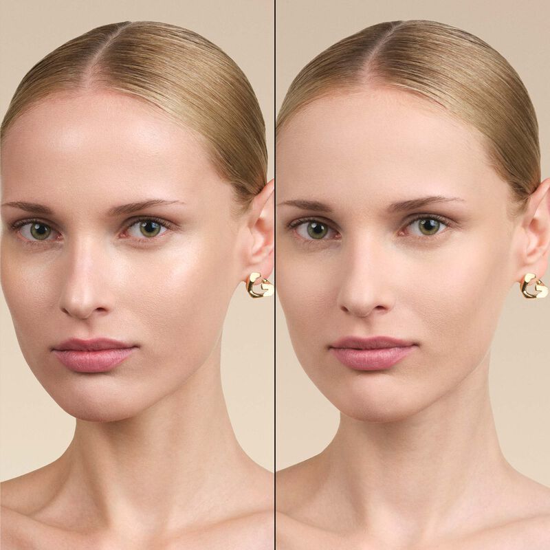 PRISME LIBRE PRESSED POWDER : Translucent Pressed Powder - n2