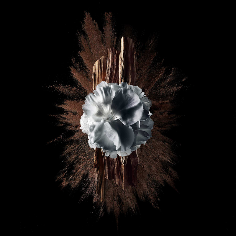 Gentleman Society Extrême - Eau de parfum woody, floral, spicy - n4